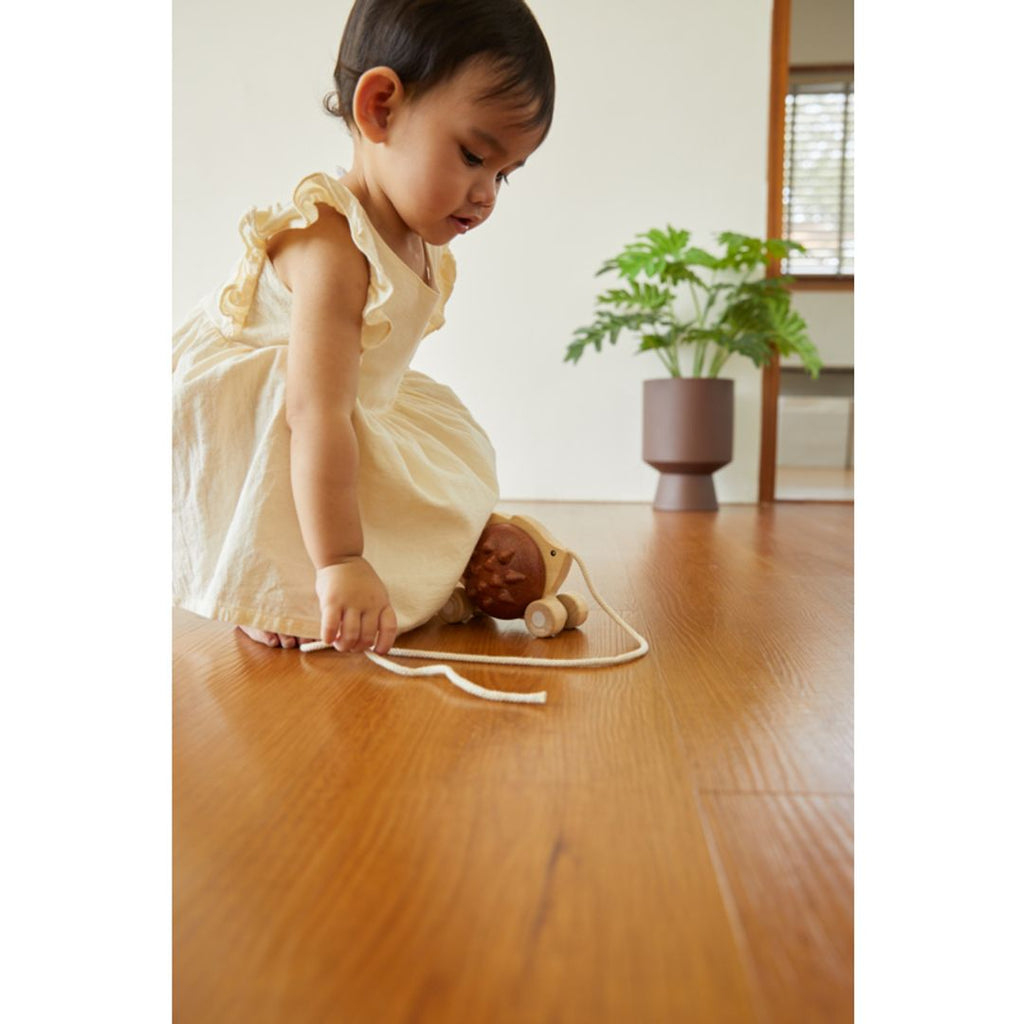 Kid playing PlanToys Pull Along - Hedgehog - Brown