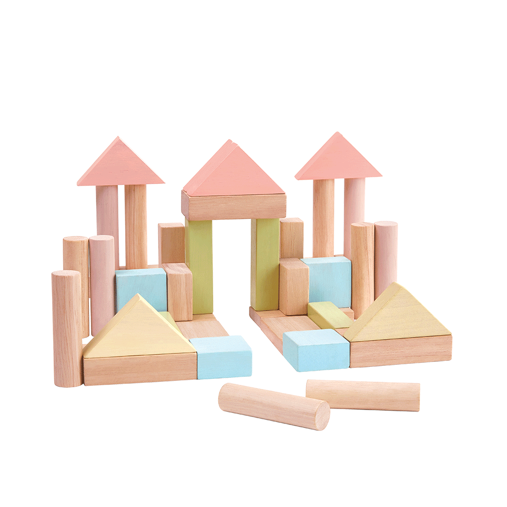 PlanToys pastel 40 Unit Blocks wooden toy