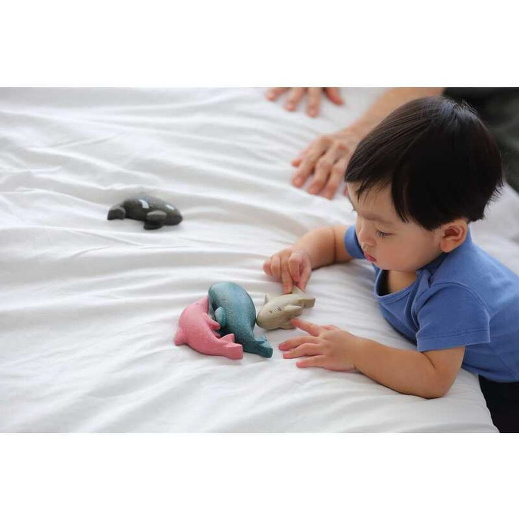 Kid playing PlanToys Dolphin