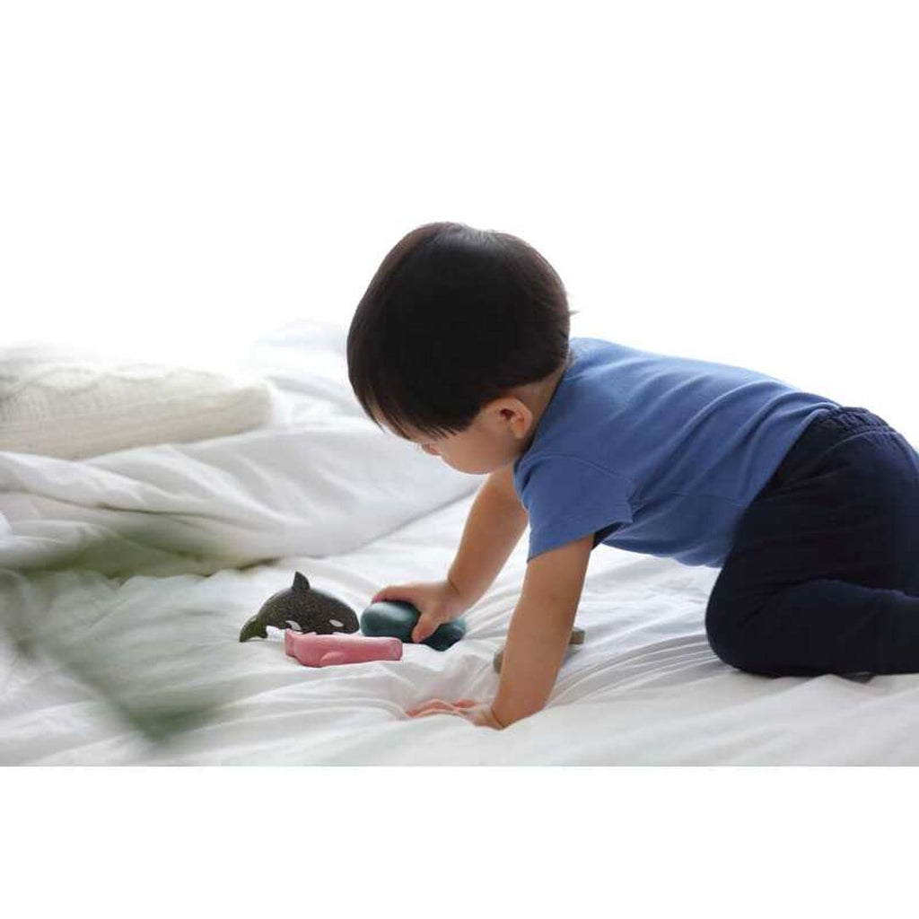 Kid playing PlanToys Whale